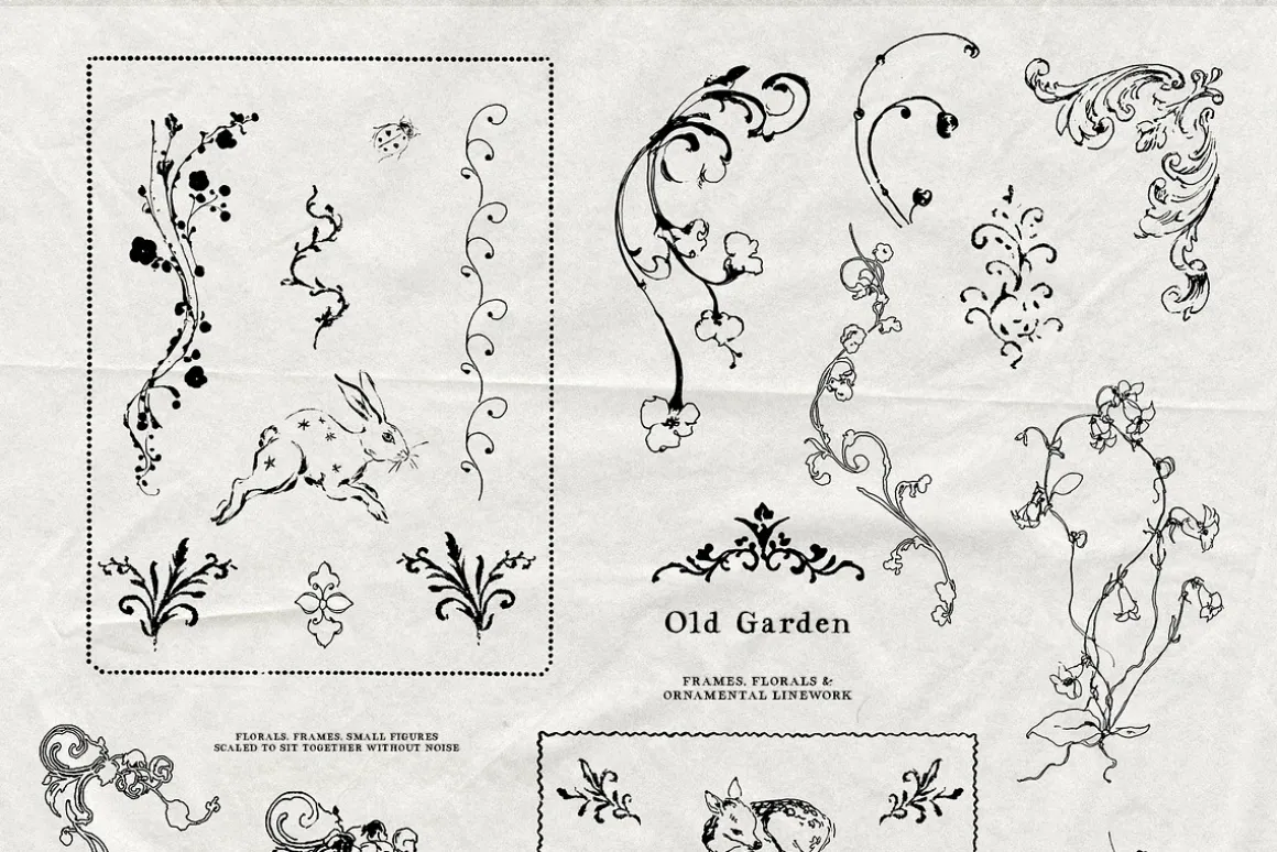 Old Garden: Botanical Linework