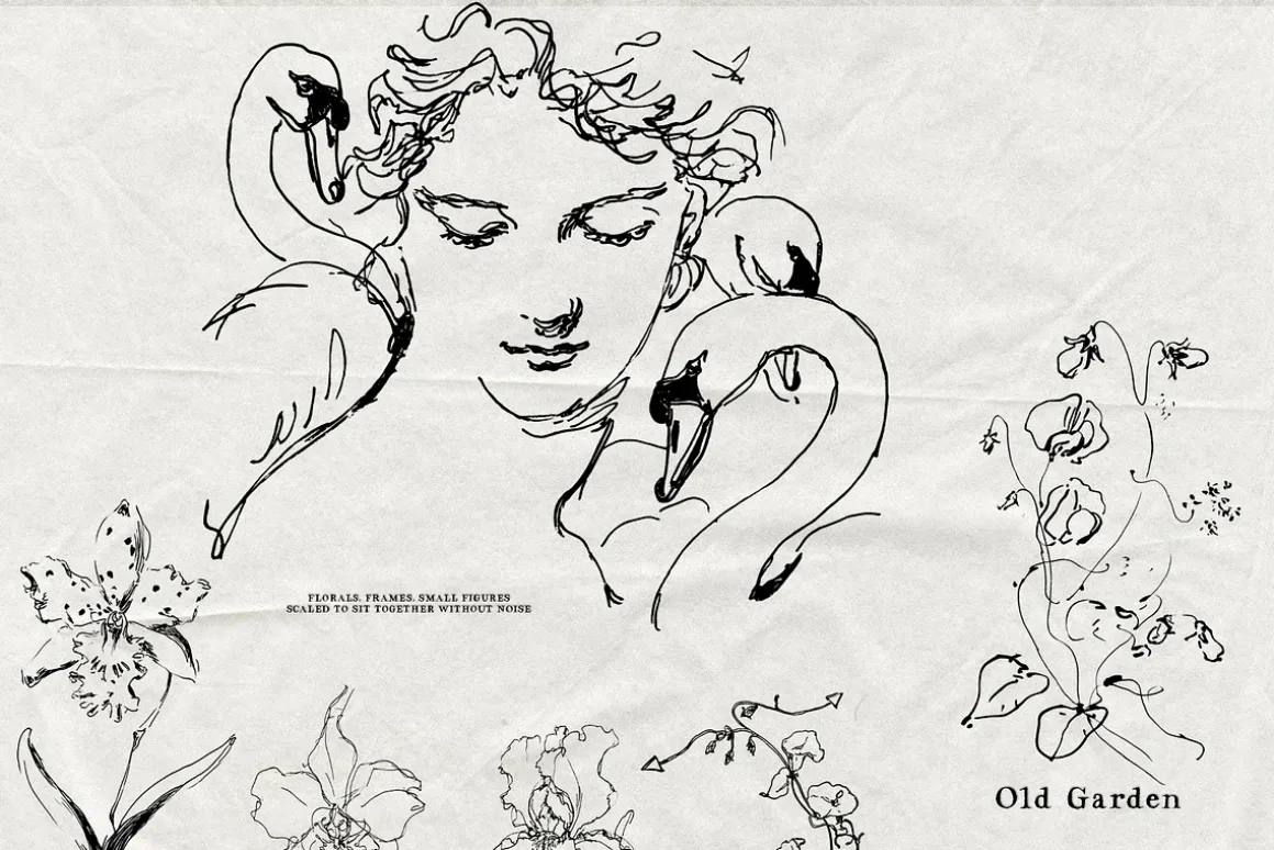 Old Garden: Botanical Linework