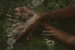 Old Garden: Botanical Linework