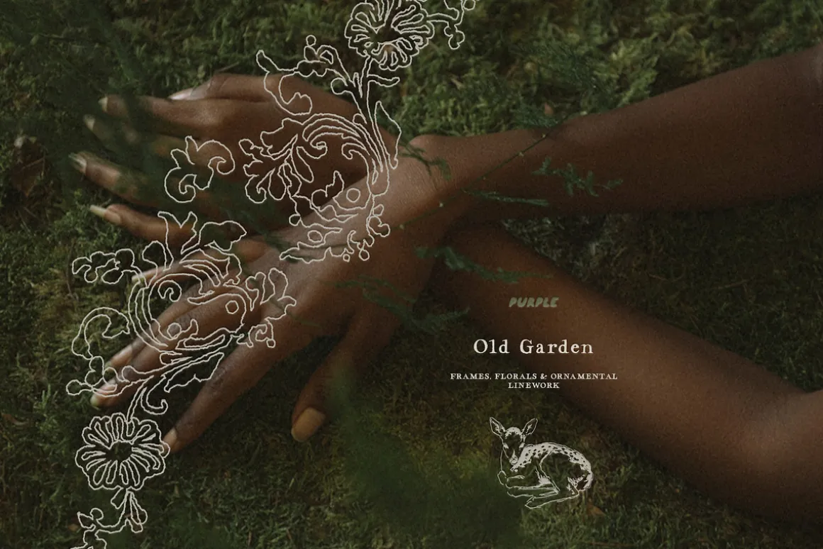 Old Garden: Botanical Linework