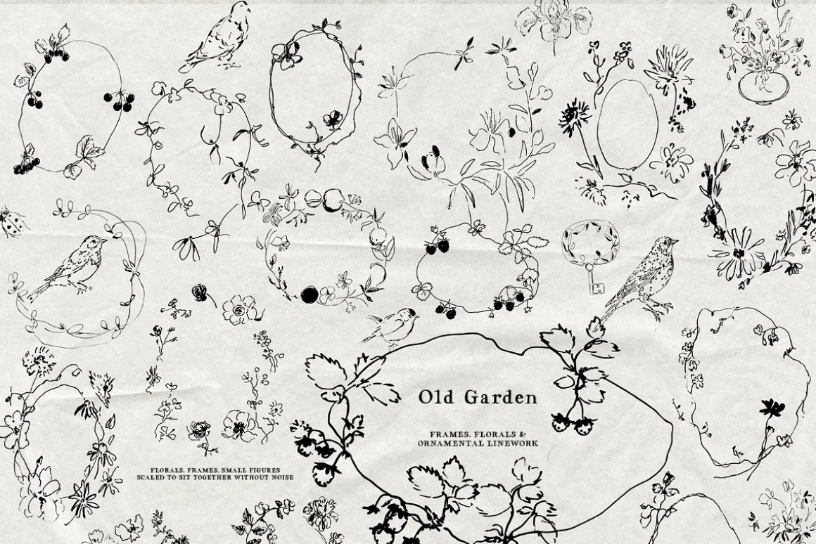 Old Garden: Botanical Linework