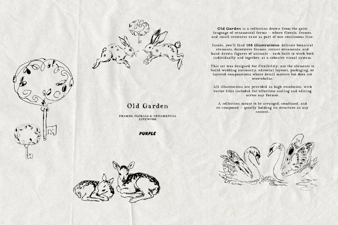 Old Garden: Botanical Linework