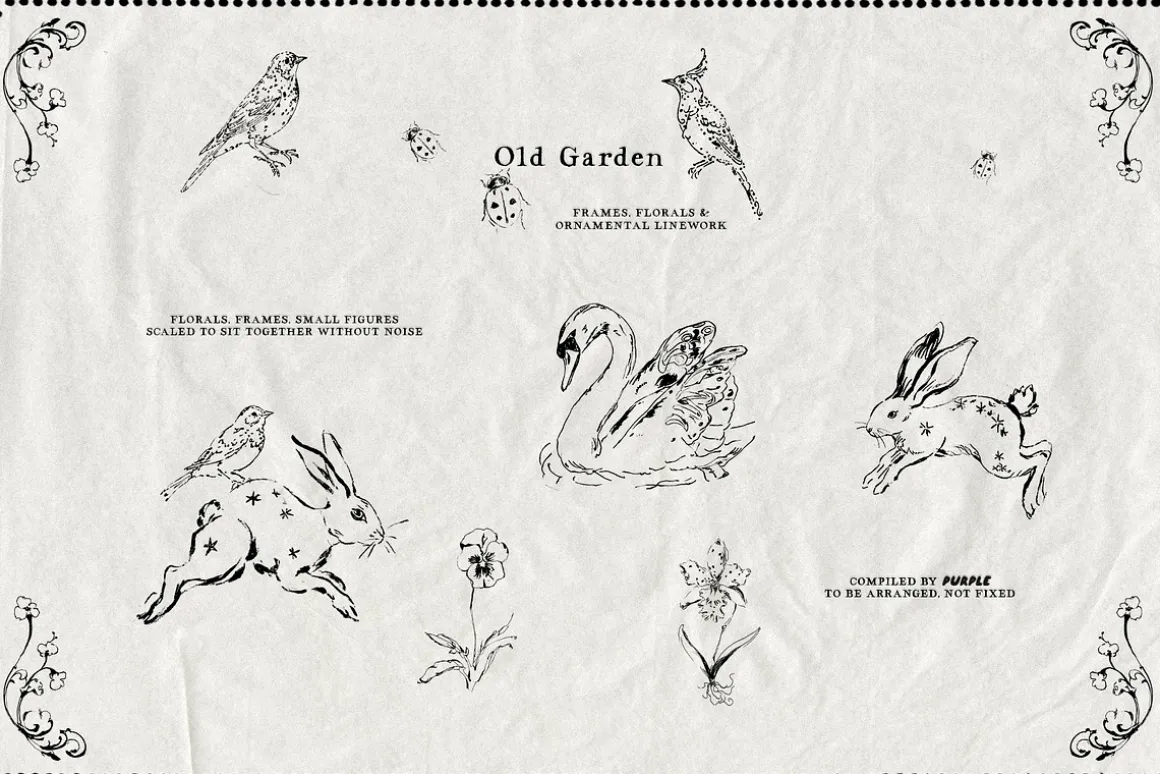 Old Garden: Botanical Linework