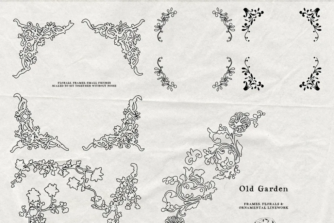 Old Garden: Botanical Linework