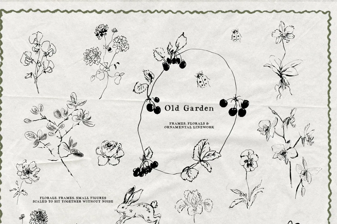 Old Garden: Botanical Linework