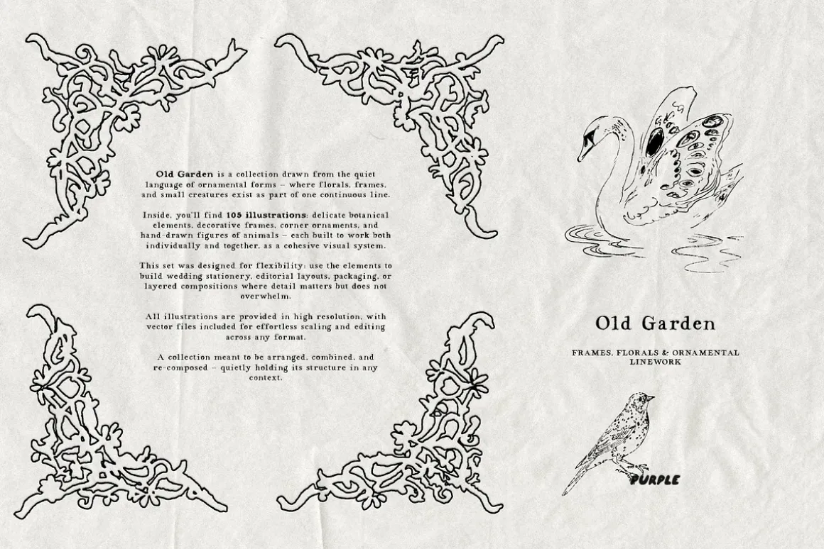 Old Garden: Botanical Linework