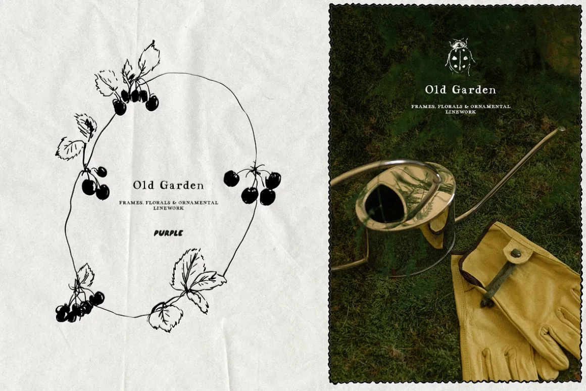 Old Garden: Botanical Linework