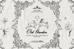 Old Garden: Botanical Linework