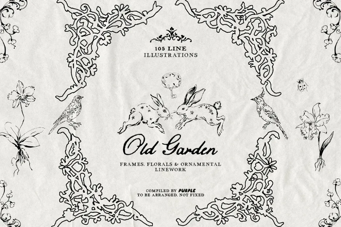 Old Garden: Botanical Linework