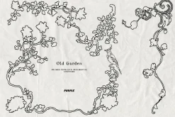 Old Garden: Botanical Linework