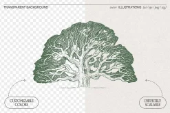 Old Oak Tree Engraving Vector