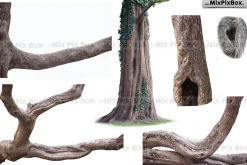 Old Tree Trunk Photo Overlays