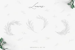 Olive leaves. Laurel frame & wreath