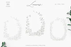 Olive leaves. Laurel frame & wreath