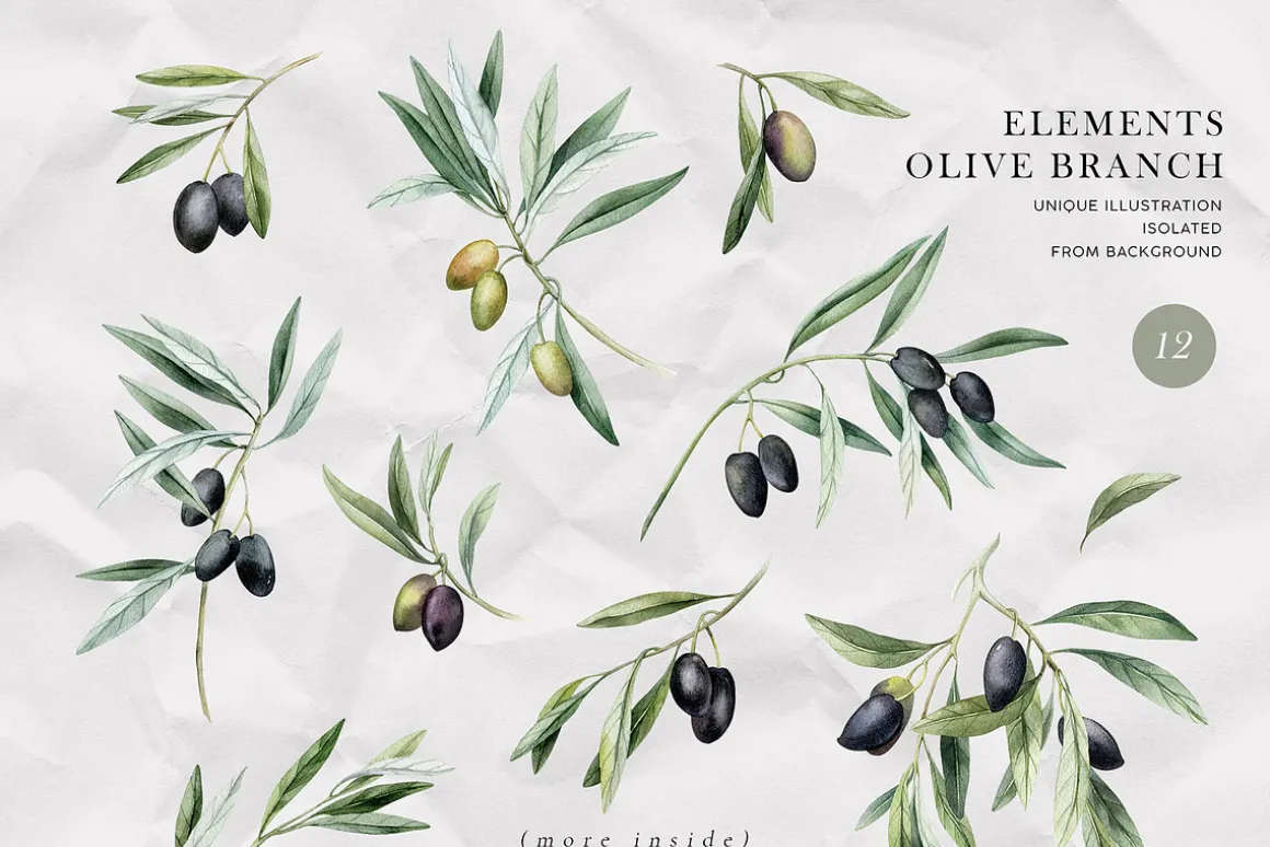 Olives. Watercolor collection