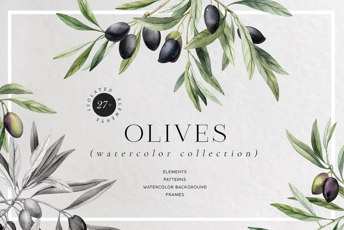 Olives. Watercolor collection