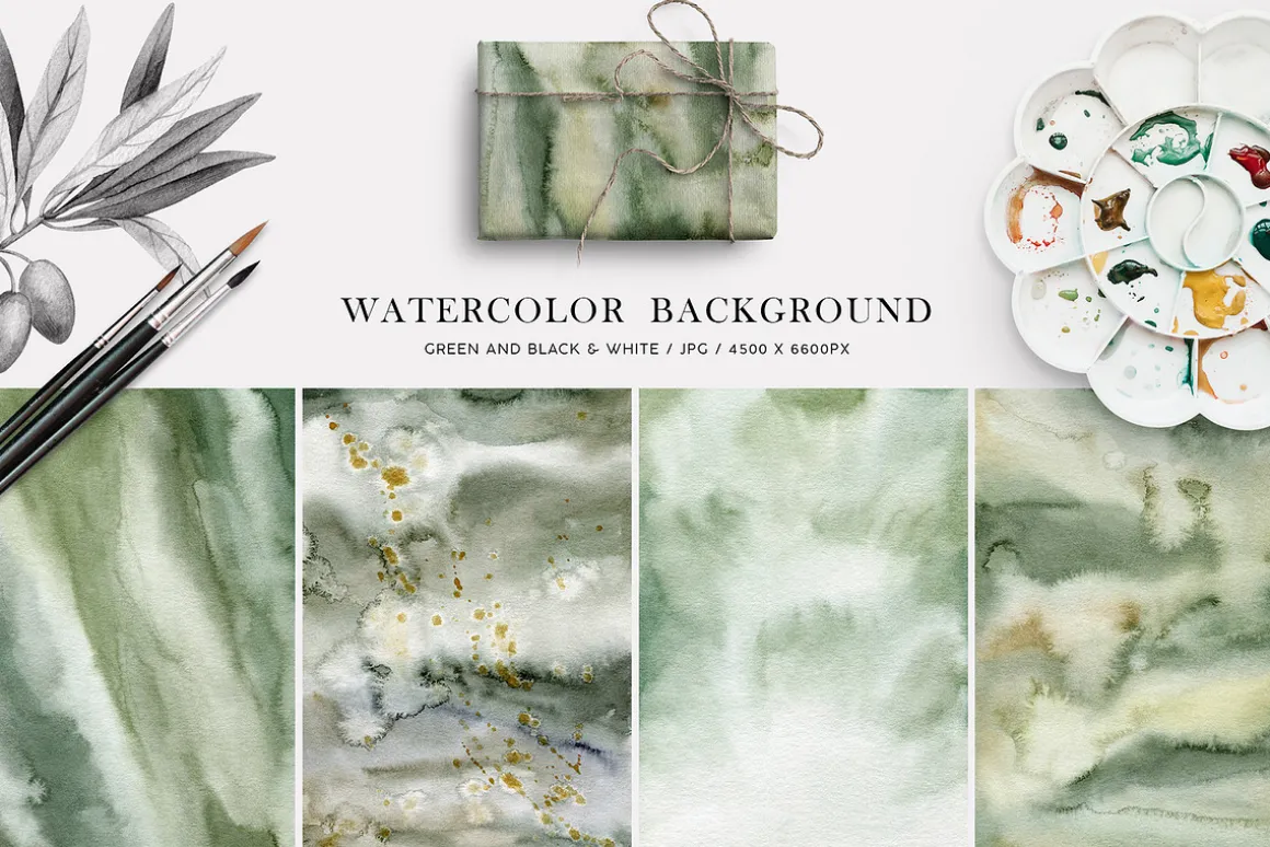 Olives. Watercolor collection