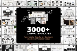 3000+ Online Course Creator Template