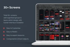 Online Music Streaming App