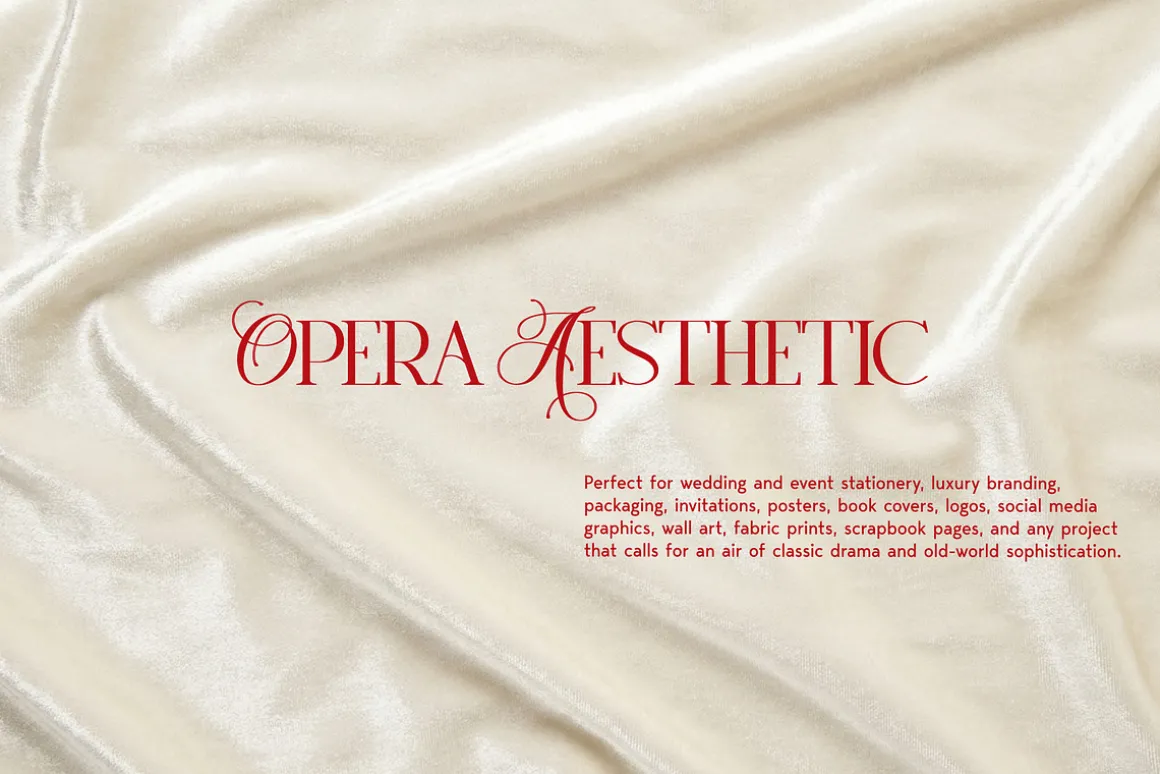 Opera Aesthetic: Vector Line Art