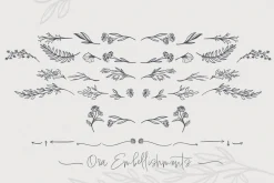 Ora Erwin : Signature Font Duo