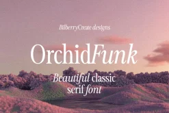 OrchidFunk - Classic Serif Font