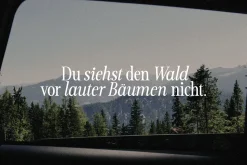 OrchidFunk - Classic Serif Font