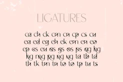 Orchid Sans Serif Font Family