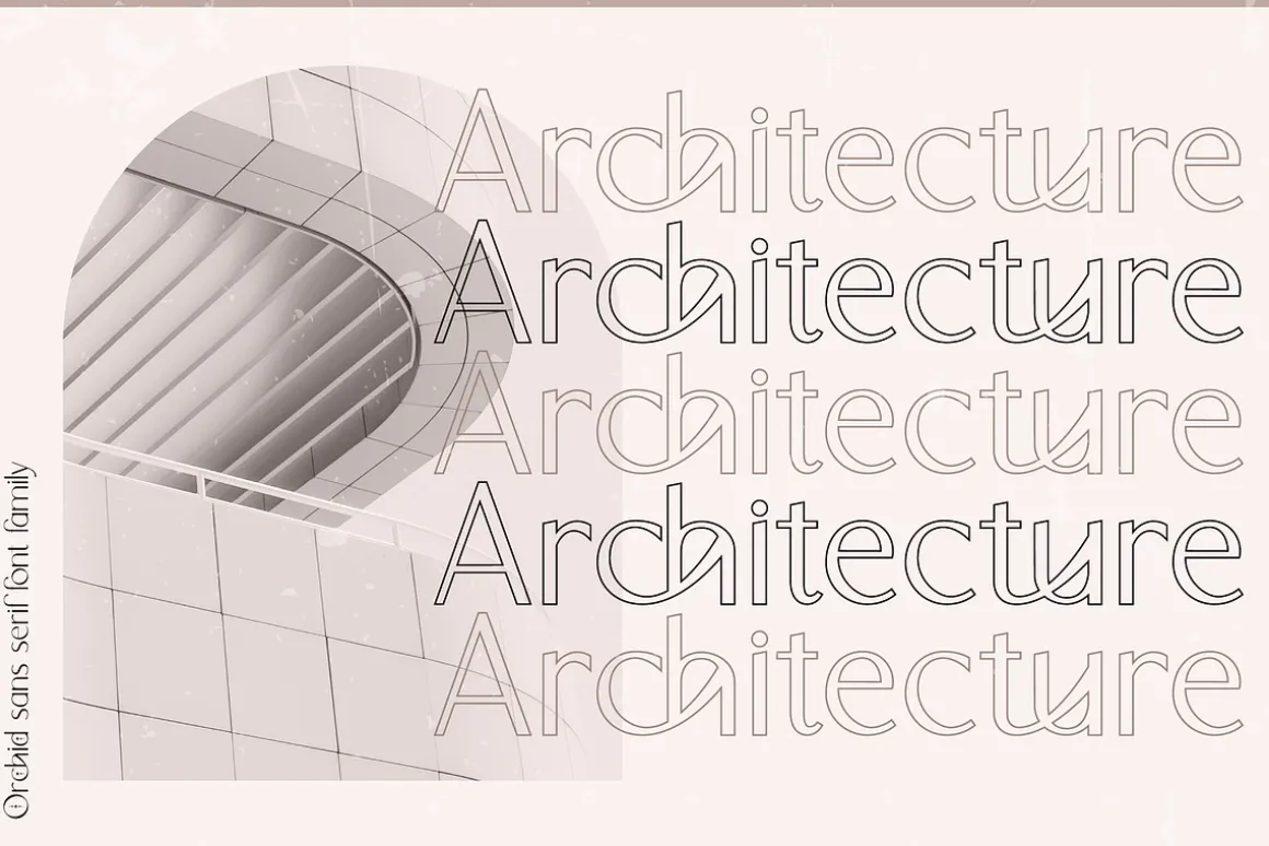 Orchid Sans Serif Font Family