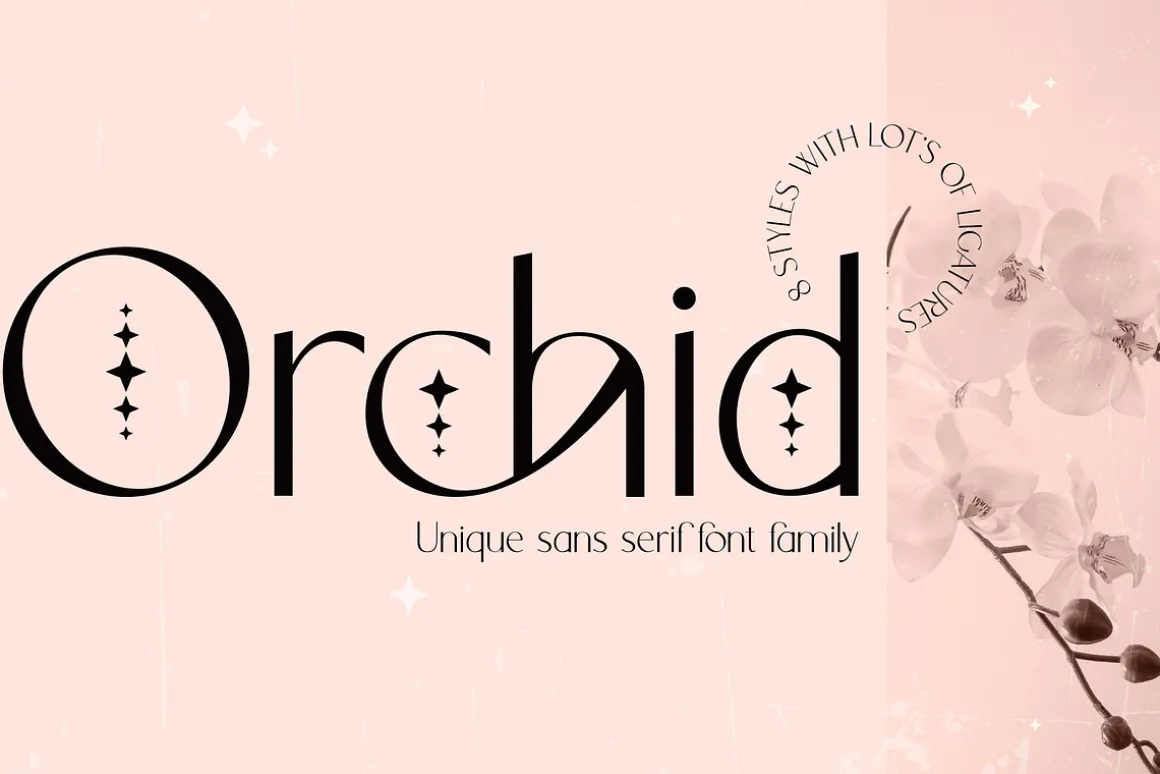 Orchid Sans Serif Font Family