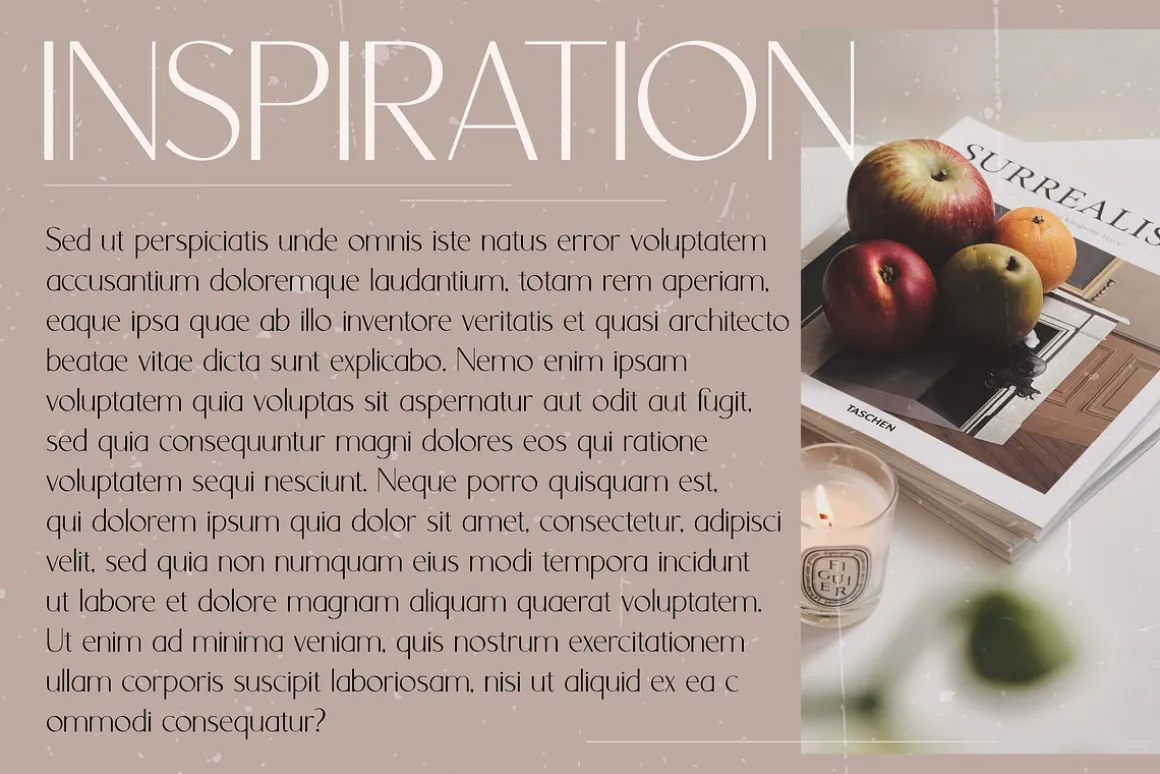 Orchid Sans Serif Font Family