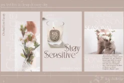 Orchid Sans Serif Font Family