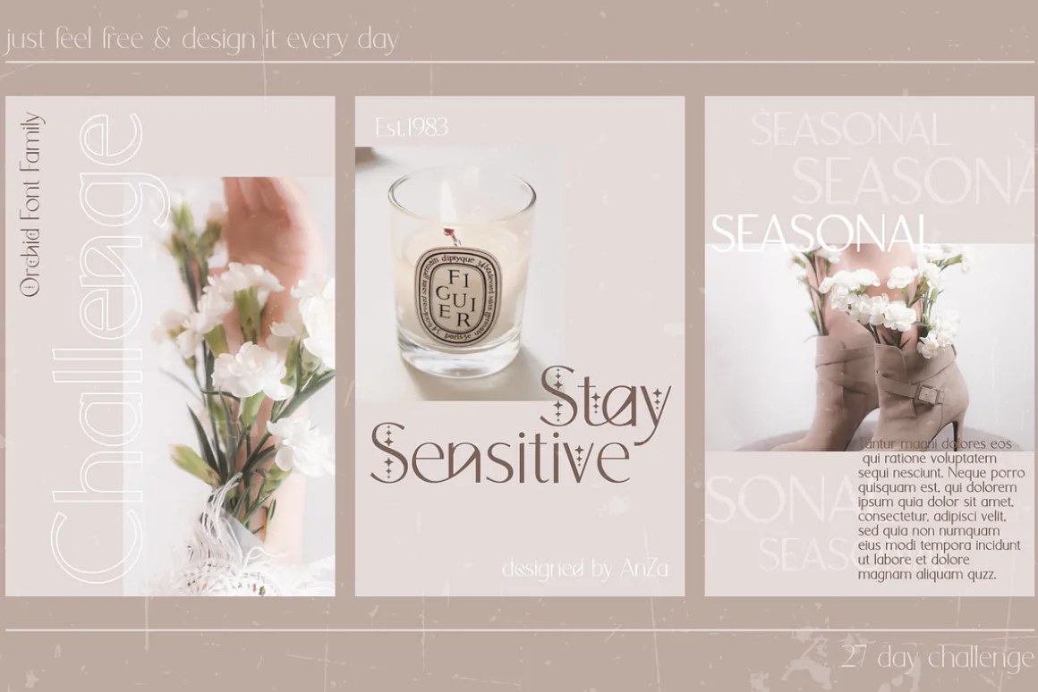 Orchid Sans Serif Font Family