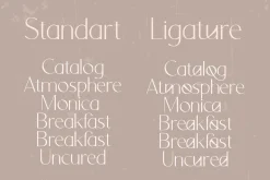 Orchid Sans Serif Font Family