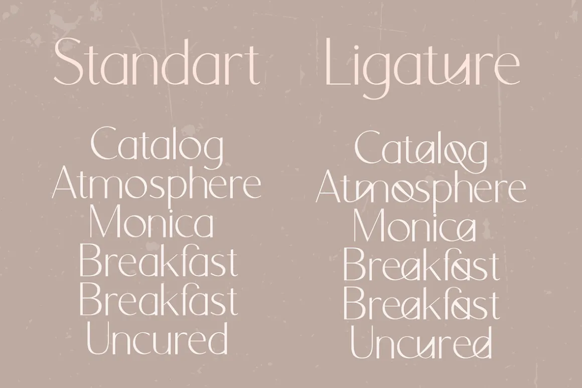 Orchid Sans Serif Font Family
