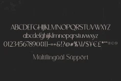 Orchid Sans Serif Font Family