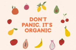 Organic Market Handmade Font