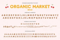 Organic Market Handmade Font