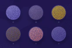 Organic shapes bundle