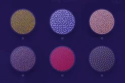 Organic shapes bundle