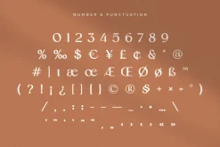 Original - Classy Branding Font