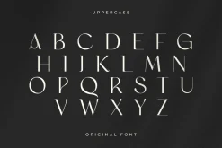 Original - Classy Branding Font