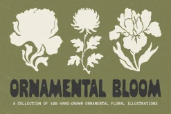 Ornamental Bloom: 100 Illustrations