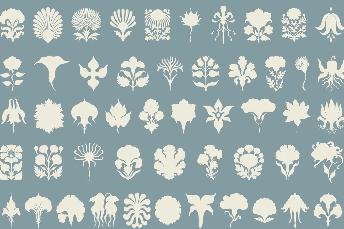 Ornamental Bloom: 100 Illustrations