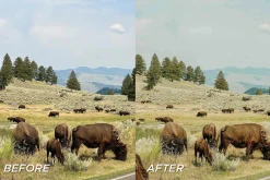 15 Outdoor Lightroom Presets