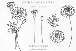 Outline Birth Month Flowers Bundle