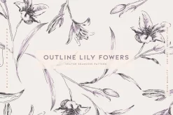 Outline Lily Fowers