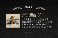 Owlie - Storybook Font