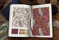 Owls graphic collection