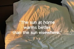 owl sight - vintage sans serif